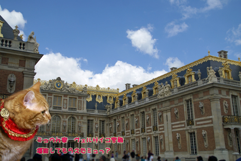2010France(Versailles).jpg