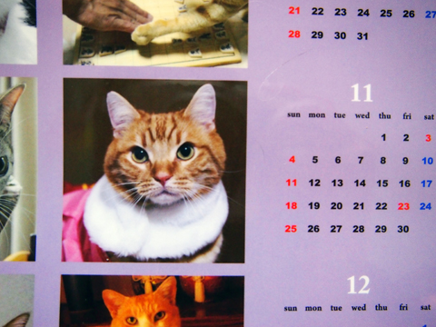 2012まねきうりさんカレンダー1.jpg