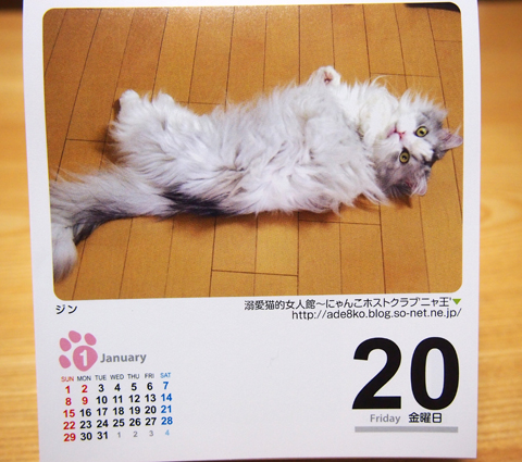 2012猫友日めくりカレンダー1.jpg