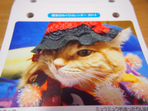 2014猫友日めくりカレンダー２.jpg