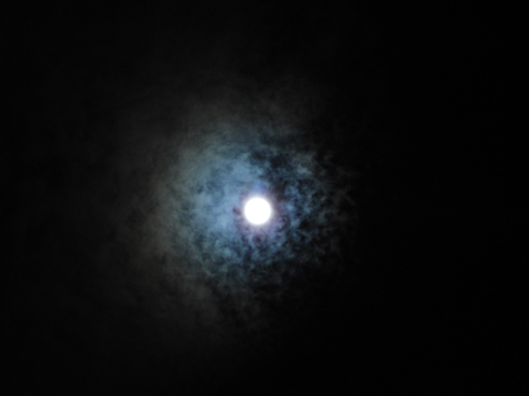 Beaver moon(20231127)-1.jpg