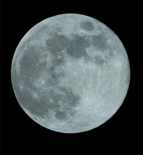 Beaver moon(20231127).jpg