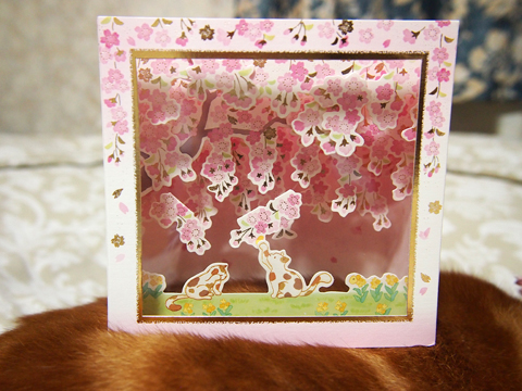 ミュウと桜カード1.jpg