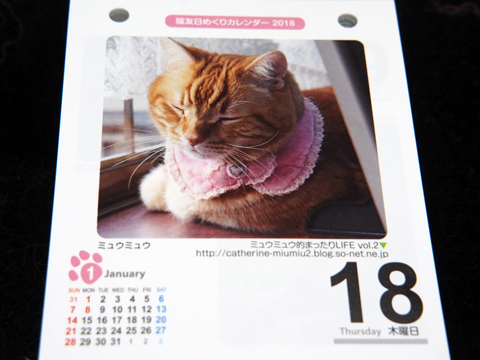 猫友カレンダー2018.jpg