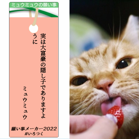 願い事メーカー2022(ミュウミュウ).jpg