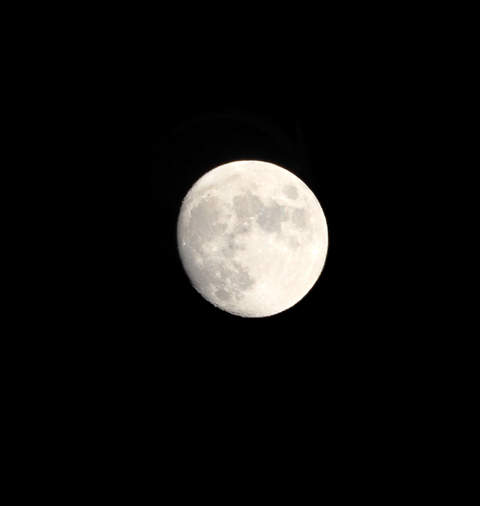 Moon20221106.jpg