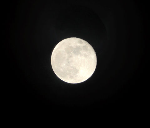 Moon20221109.jpg