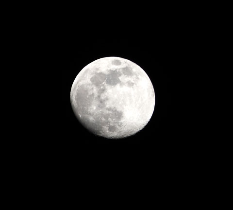 Moon20230203.jpg
